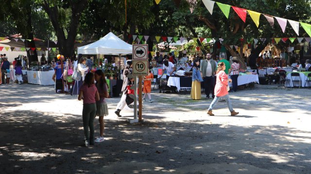 Festival de la cosecha 2024