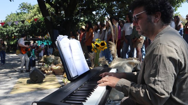 Festival de la cosecha 2024