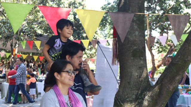 Festival de la cosecha 2024