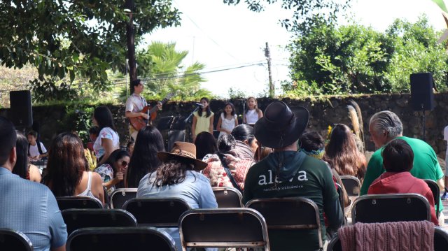 Festival de la cosecha 2024