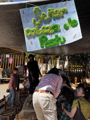 Festival de la cosecha 2024