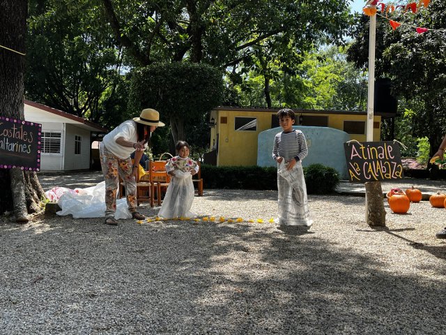 Festival de la cosecha 2024