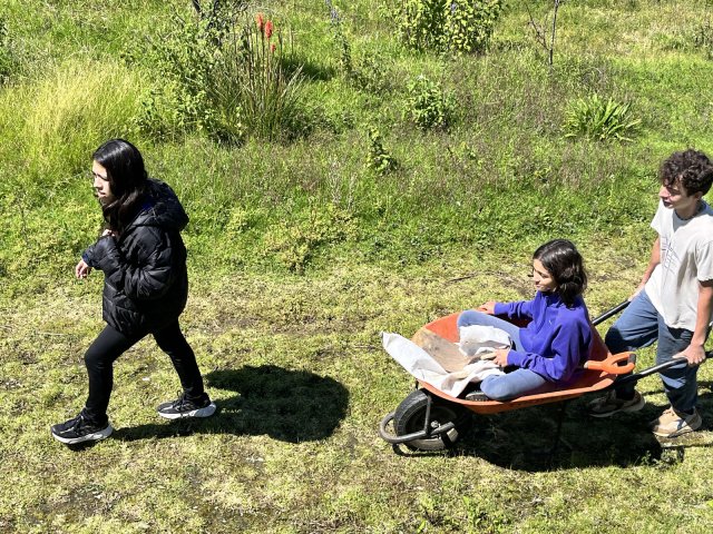 San Miguel 2025 (6° a 9°)