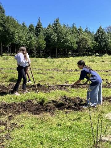 San Miguel 2025 (6° a 9°)