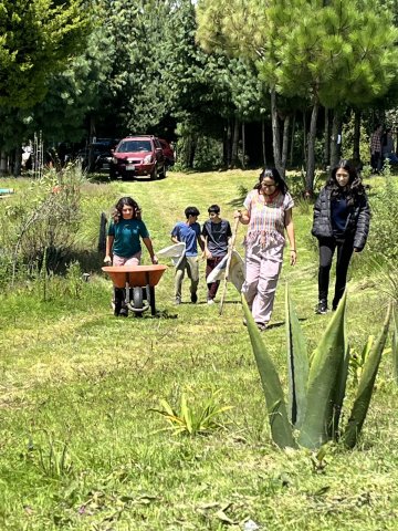 San Miguel 2025 (6° a 9°)