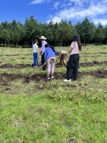 San Miguel 2025 (6° a 9°)