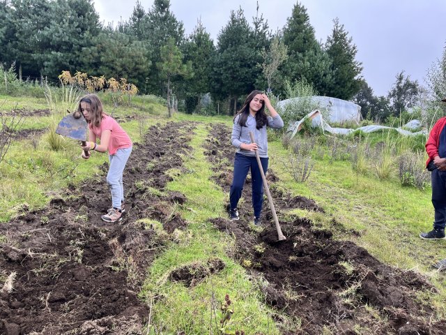 San Miguel 2025 (6° a 9°)