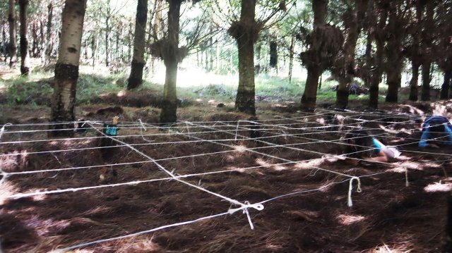 San Miguel 2025 (6° a 9°)