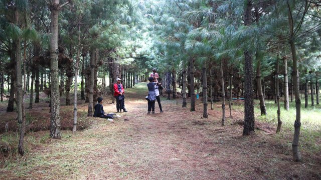 San Miguel 2025 (6° a 9°)