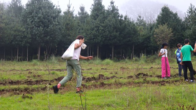 San Miguel 2025 (6° a 9°)